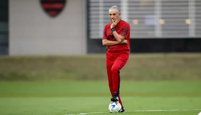 Desafios do Flamengo Viradas Inesperadas na Série A de 2023