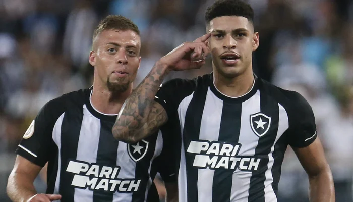 Prejuízos e Desafios Impacto do Adiamento do Jogo do Botafogo