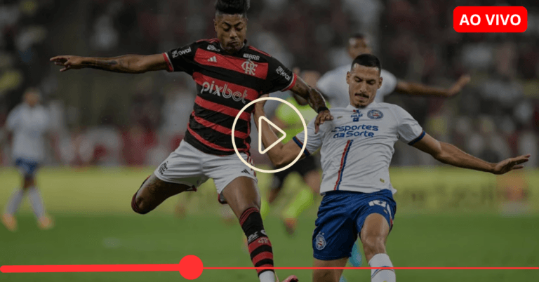Bahia x Flamengo: onde assistir ao vivo